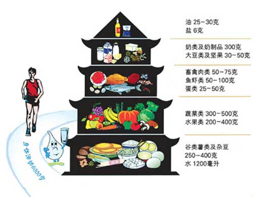 卫生部发布《中国居民膳食指南(2007)》