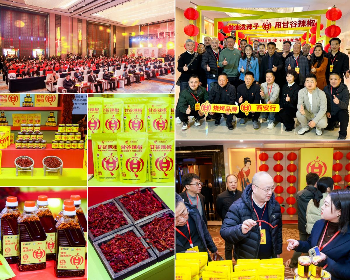 1767948426140545.jpg 222.jpg